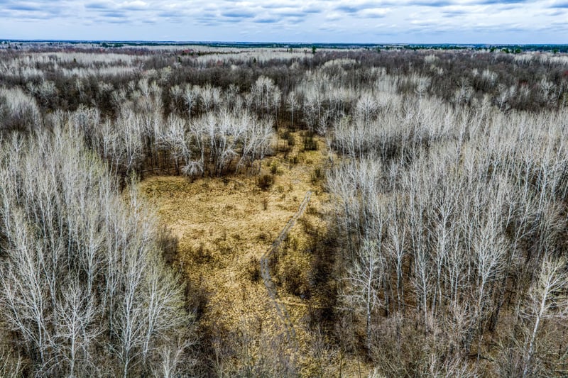 13217 Beaver Rd NE, Bemidji, MN 56601