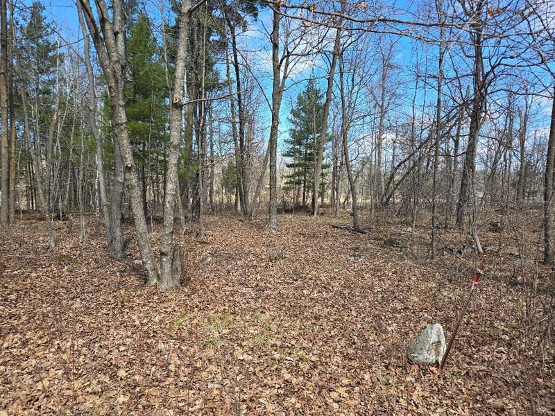 1470 Cardinal Ln NE, Longville, MN 56655
