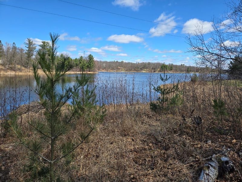 1470 Cardinal Ln NE, Longville, MN 56655