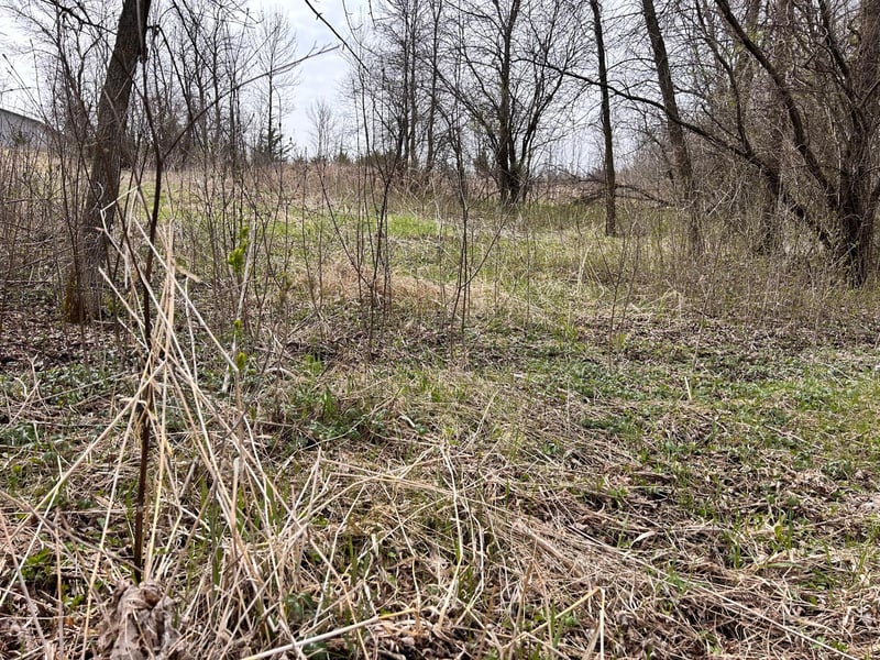 Lot 6 215th St, Barrett, MN 56311