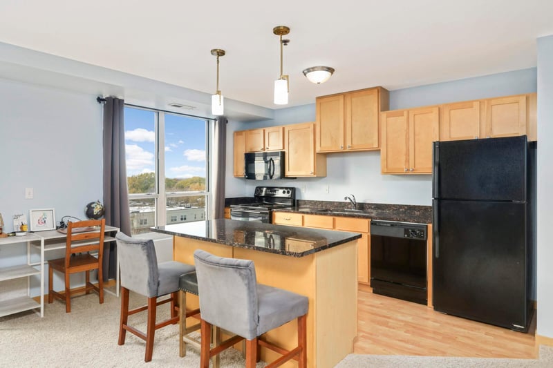 1502 5th St N #702, Hopkins, MN 55305