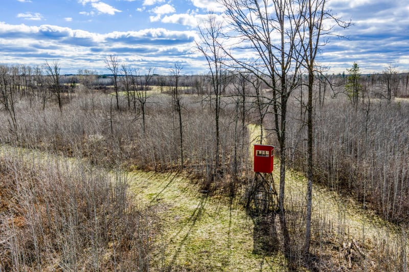 11005 320th St, Park Rapids, MN 56470