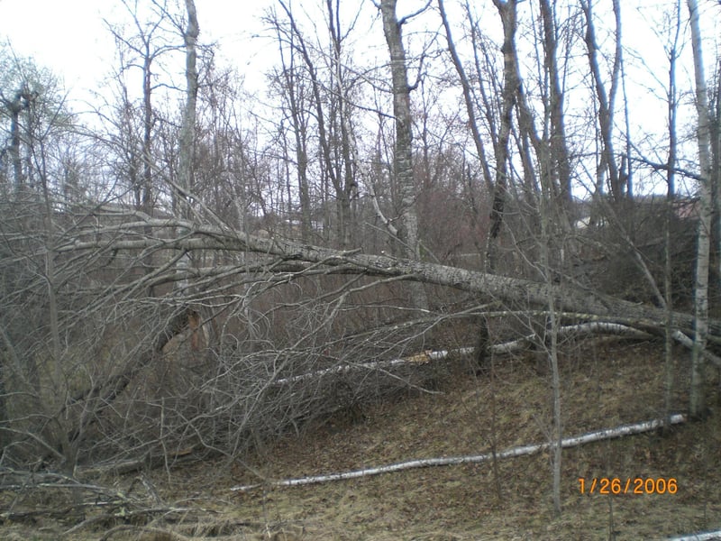 Lot 18 Terminal Rd, Breezy Point, MN 56472