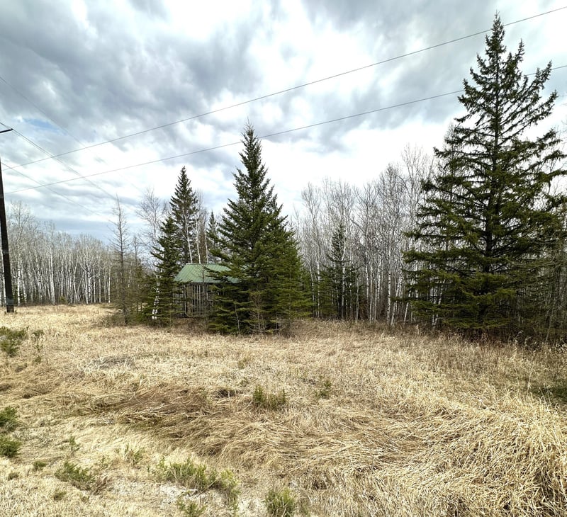 1656 78th Ave NW, Williams, MN 56686