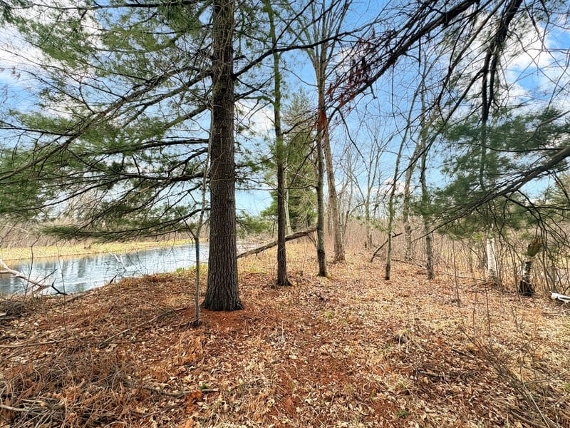26792 Ice House Bridge Rd, Webster, WI 54893