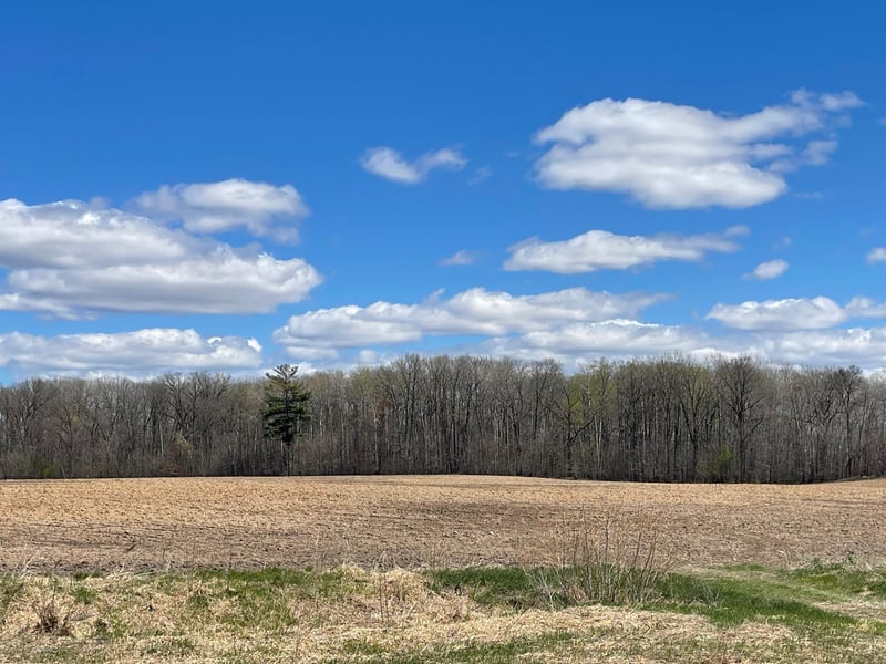 XXX 92nd Ave, Princeton, MN 55371
