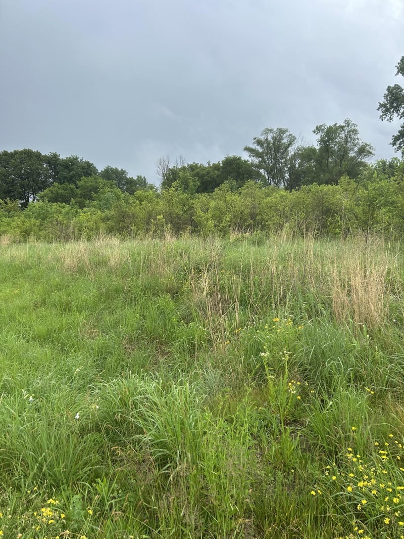 XXXX 280th St, Northfield, MN 55057