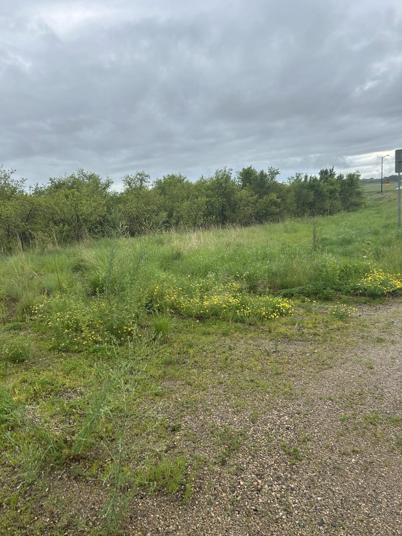 XXXX 280th St, Northfield, MN 55057
