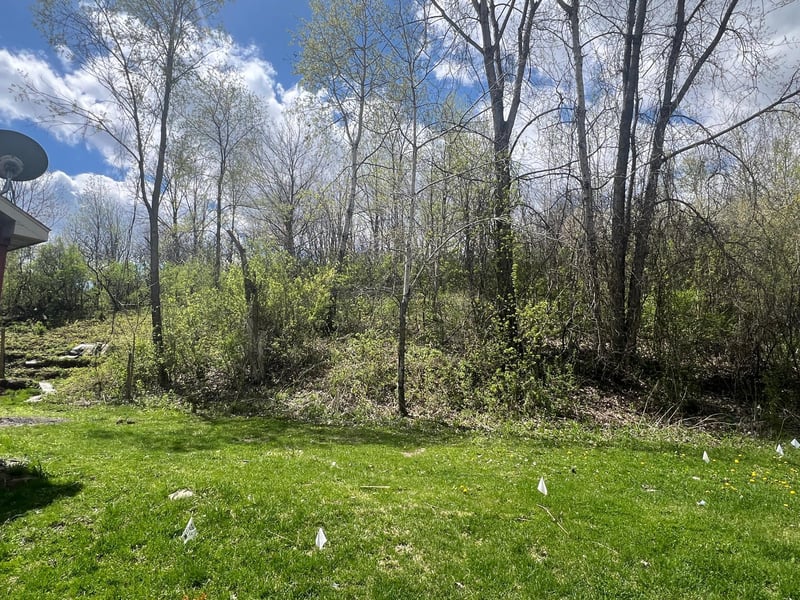 31763 Magnum Rd, Chatfield, MN 55923