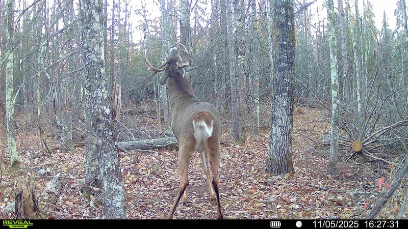 TBD Hokkanen Rd, Iron River, WI 54847