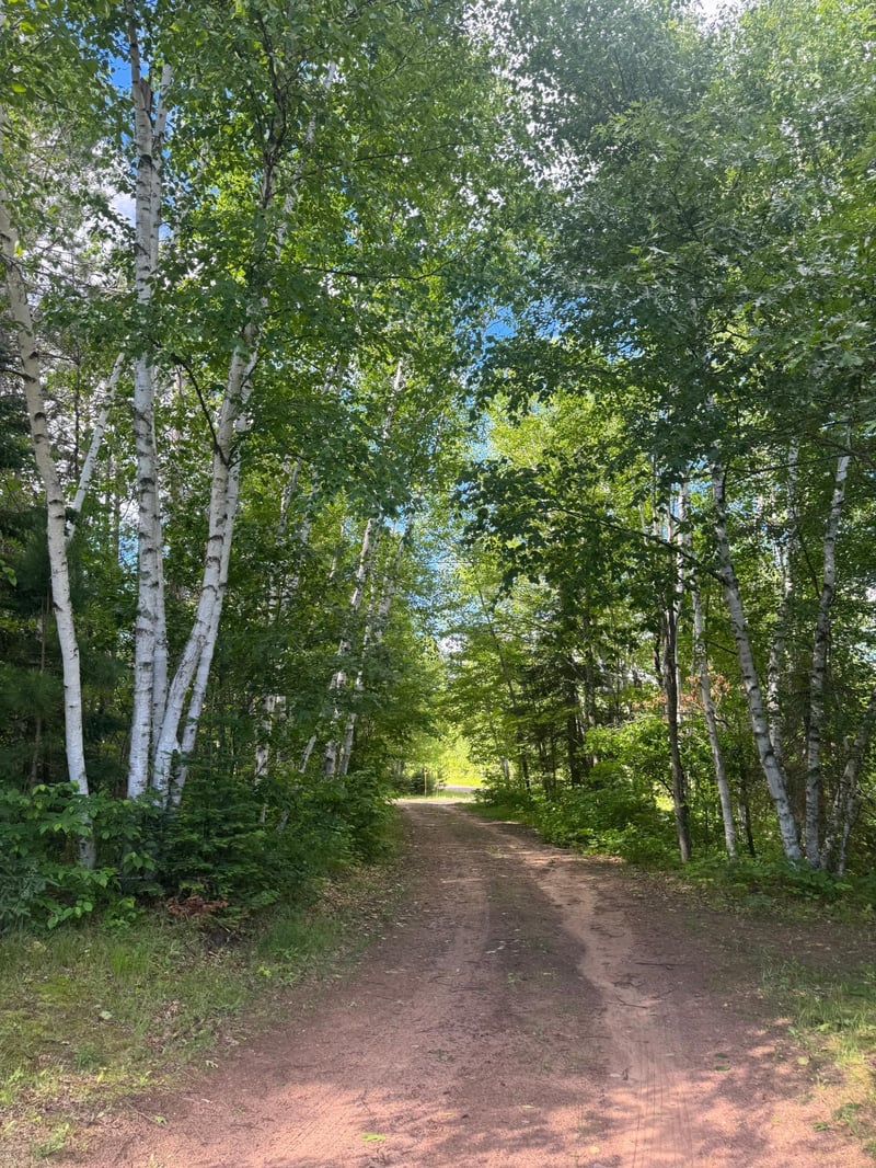 49382 Pansy Landing Rd, Sandstone, MN 55072