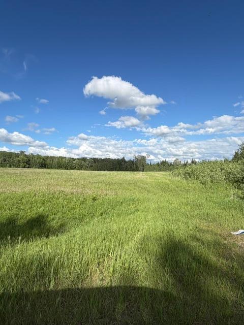 TBD County 63, Boy River, MN 56672