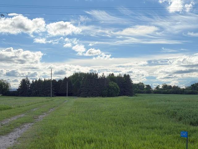TBD County 63, Boy River, MN 56672