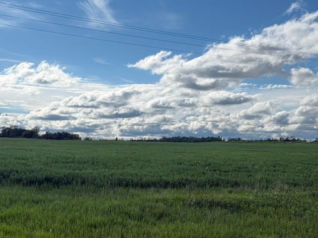 TBD County 63, Boy River, MN 56672