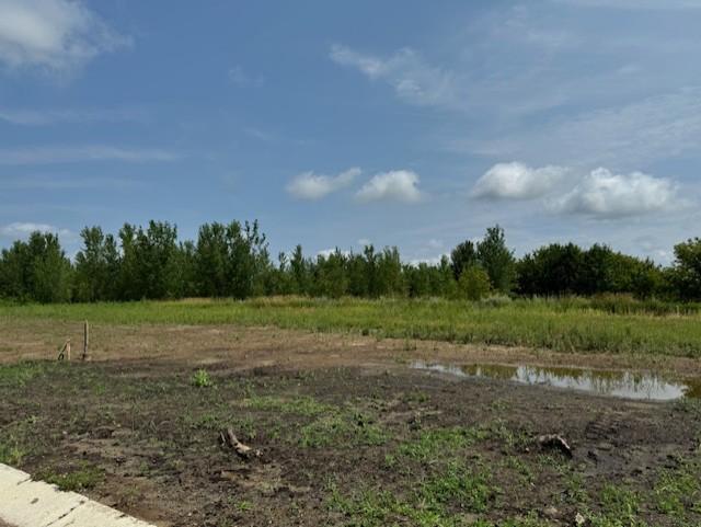 TBD Dickens, Rush City, MN 55069
