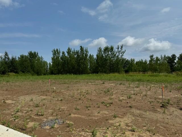 TBD Dickens, Rush City, MN 55069