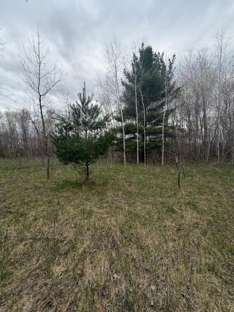 TBD Ottawa, Browerville, MN 56438