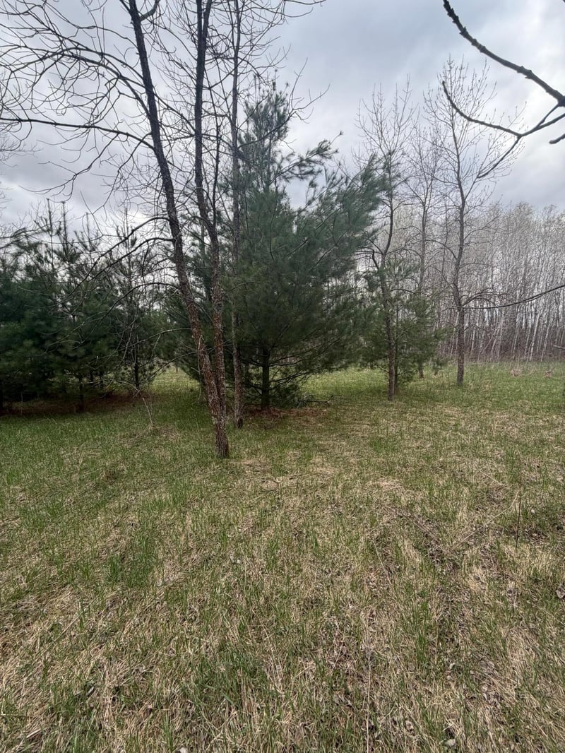 TBD Ottawa, Browerville, MN 56438