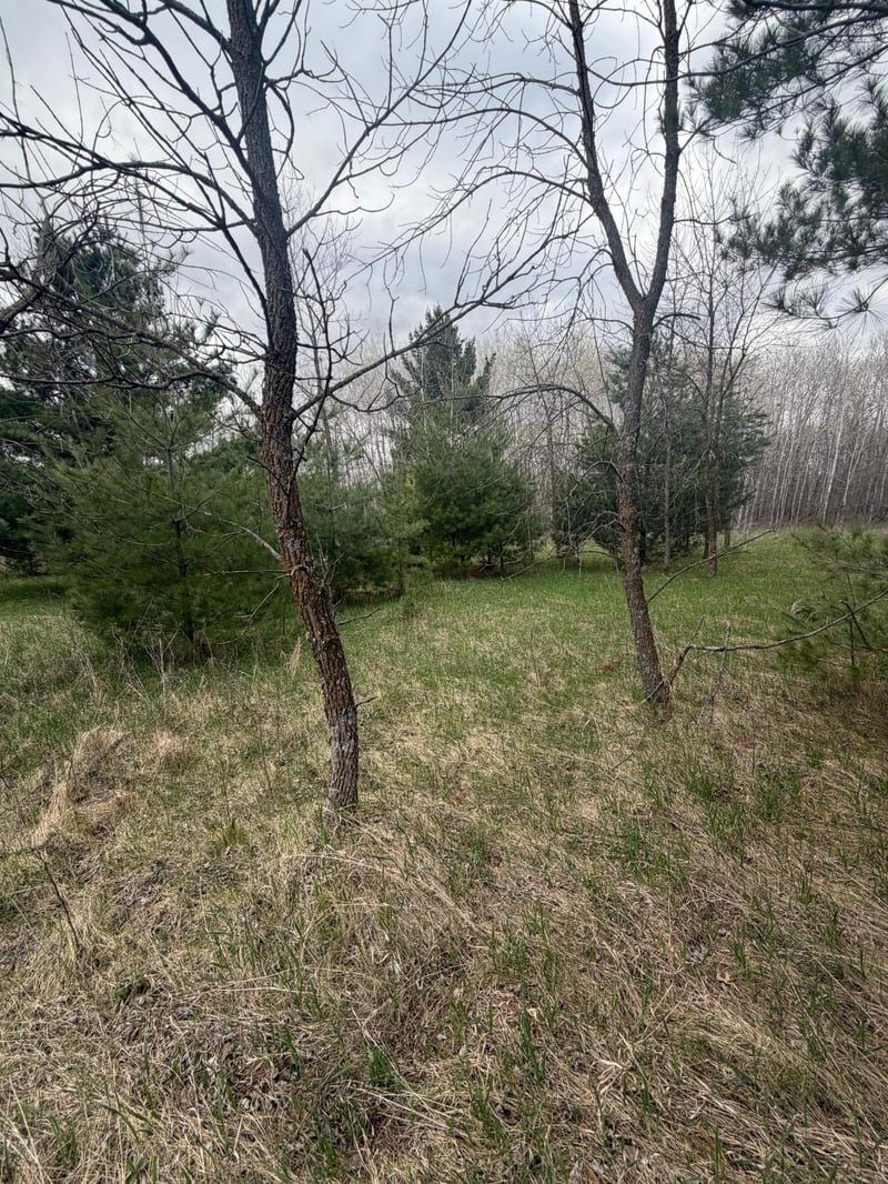TBD Ottawa, Browerville, MN 56438
