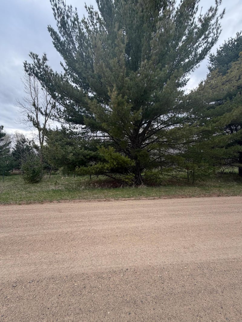 TBD Ottawa, Browerville, MN 56438