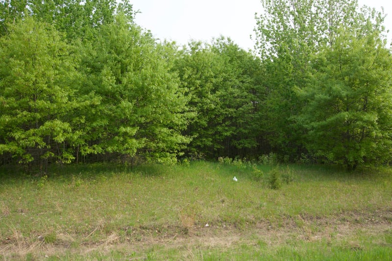 XXX Lot 3 283rd Ave NW, Zimmerman, MN 55398