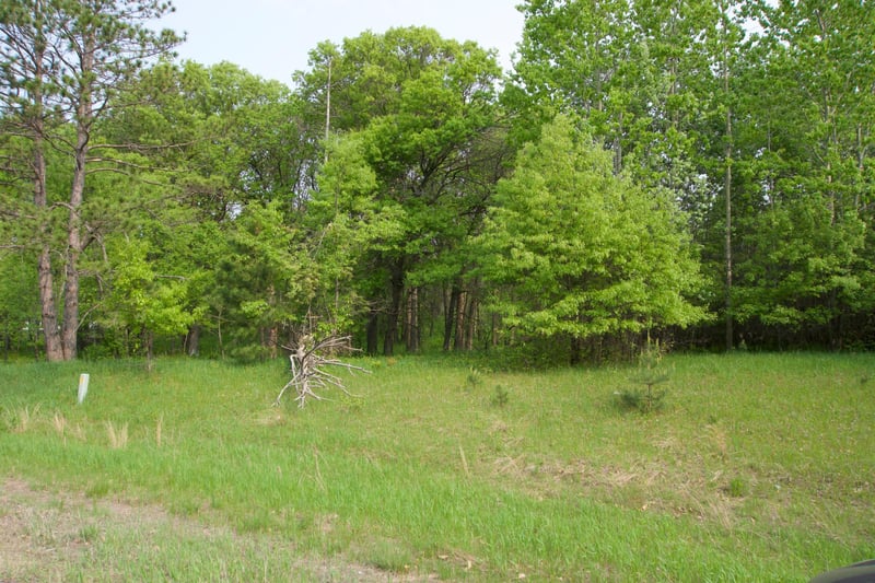 XXX Lot 3 283rd Ave NW, Zimmerman, MN 55398