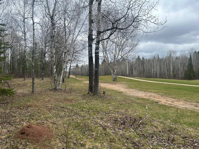TBD N Birch Dr, Coleraine, MN 55721