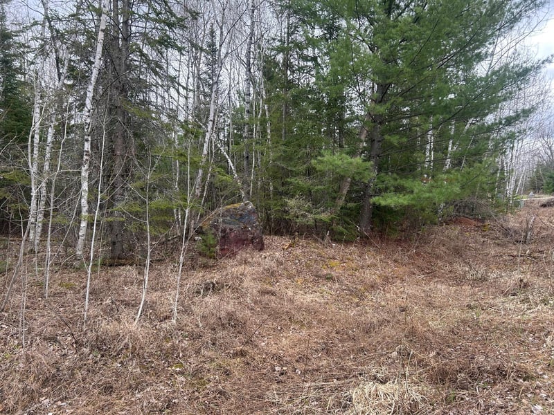 TBD N Birch Dr, Coleraine, MN 55721