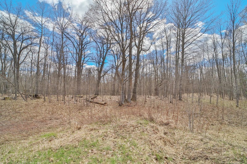 TBD Pioneer Ave, Aitkin, MN 56431