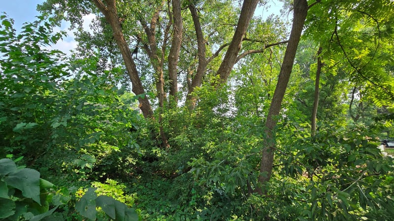 3949 Douglas Dr N, Crystal, MN 55422