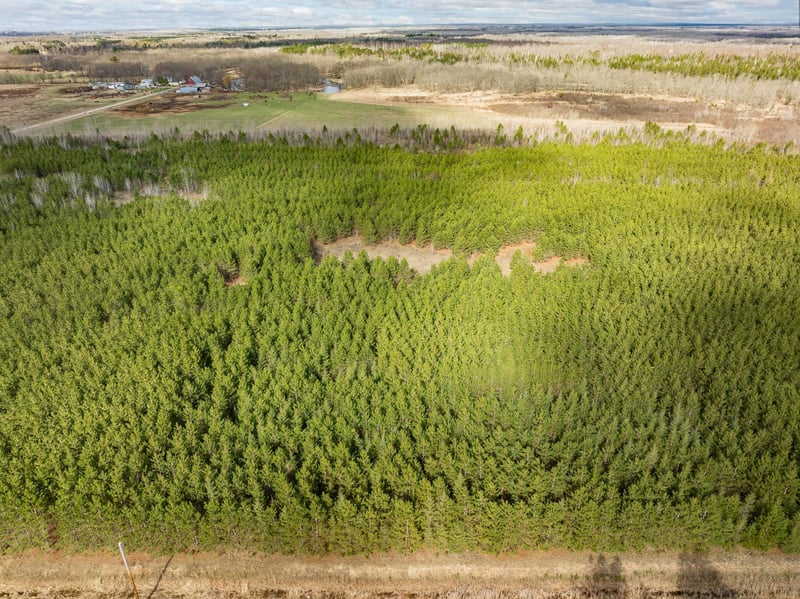 Lot 1 Scenic Hwy 7, Bovey, MN 55709