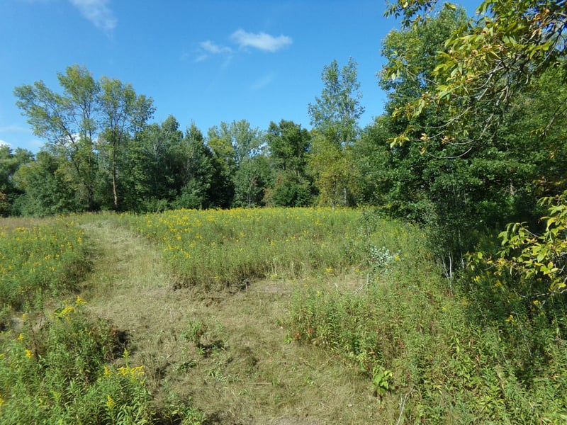 67xx Old Sawmill Rd, Harris, MN 55032