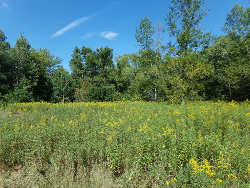 67xx Old Sawmill Rd, Harris, MN 55032
