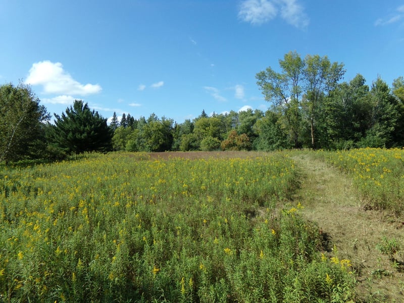 67xx Old Sawmill Rd, Harris, MN 55032