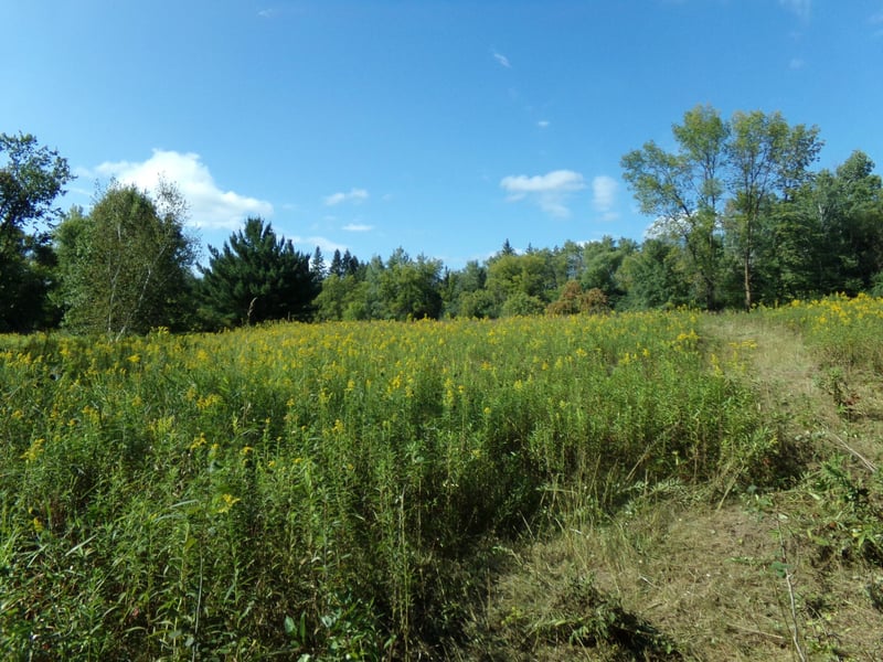 67xx Old Sawmill Rd, Harris, MN 55032