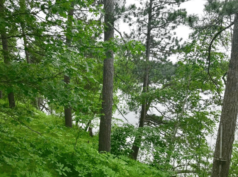 38284 Ox Lake Ldg, Crosslake, MN 56442
