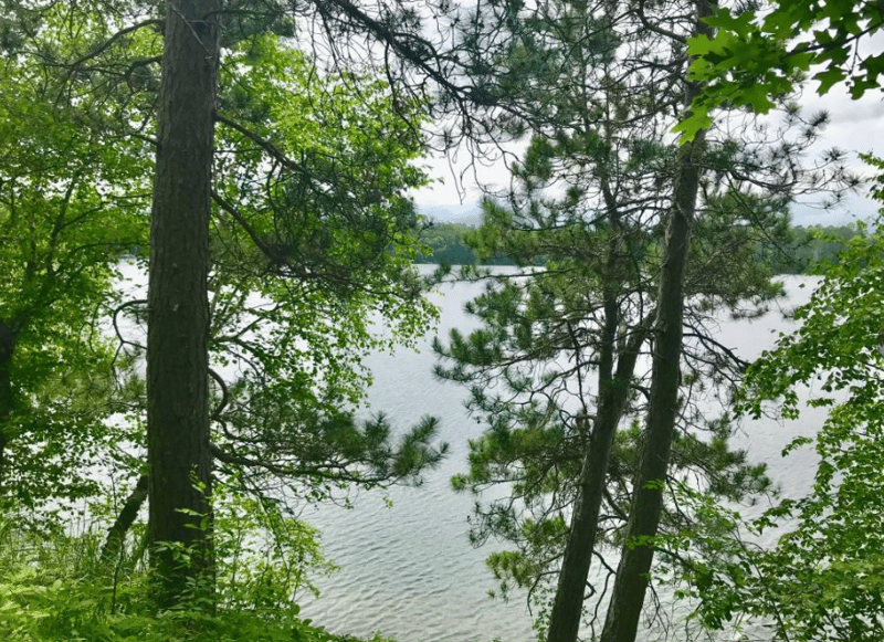 38284 Ox Lake Ldg, Crosslake, MN 56442