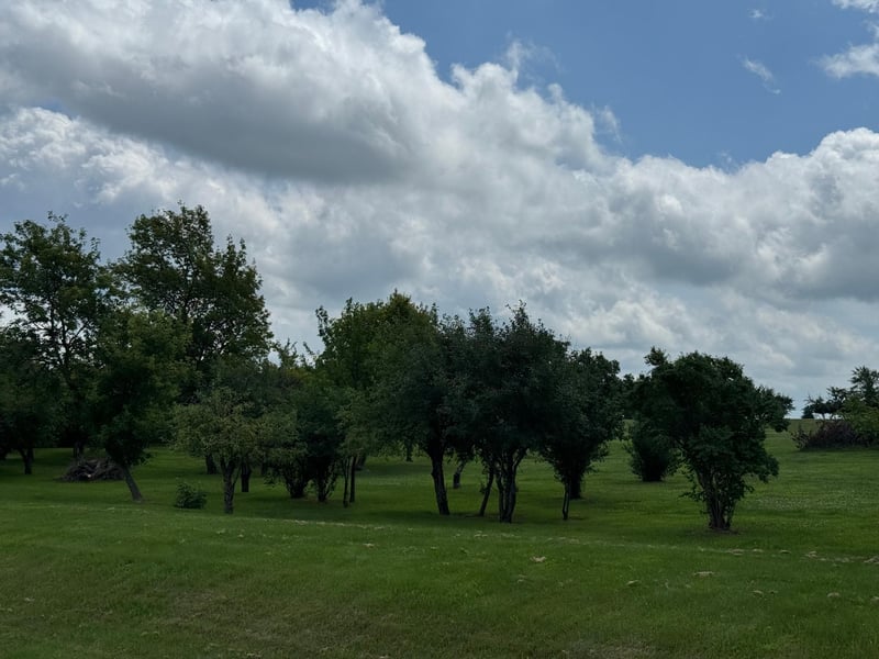 tbd 302nd Ave, Lake City, MN 55041