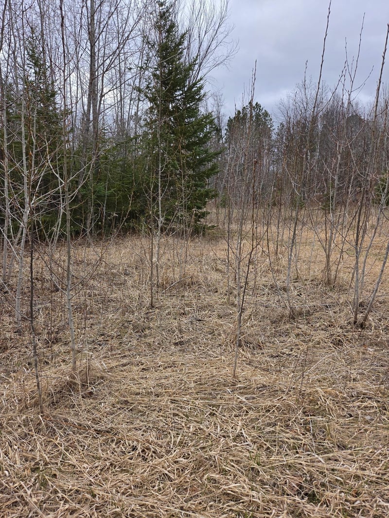 TBD Lampi Rd, Cohasset, MN 55721