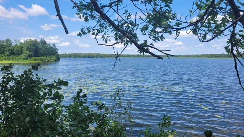 6920 County Road 8 NE, Longville, MN 56655