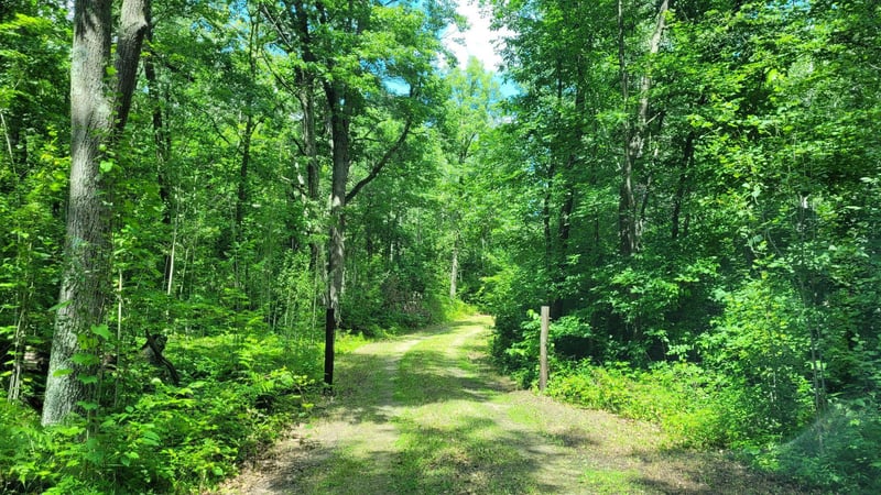 6920 County Road 8 NE, Longville, MN 56655