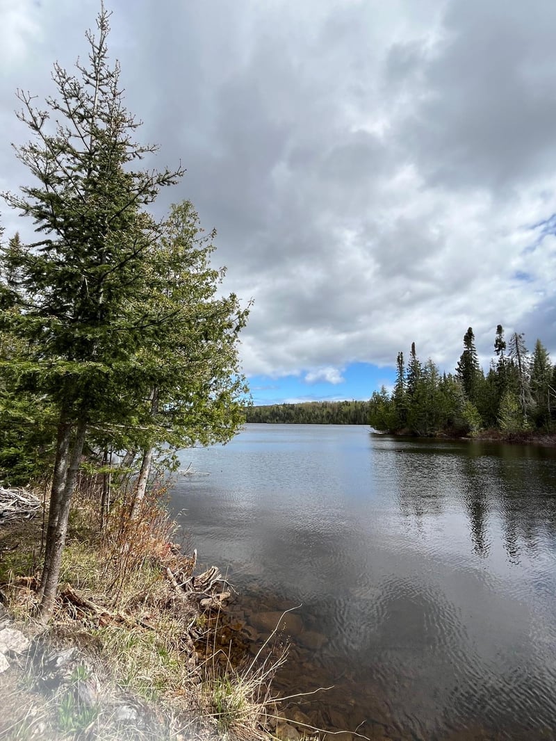 100 Wilderness Trl, Hovland, MN 55606
