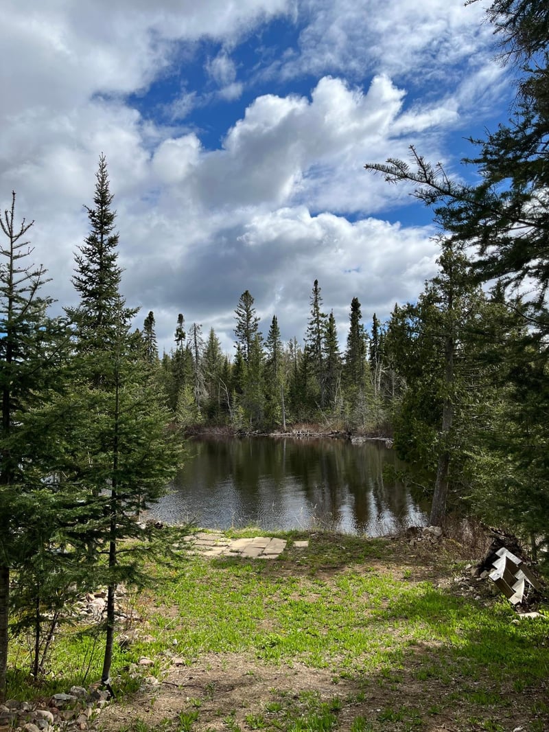 100 Wilderness Trl, Hovland, MN 55606