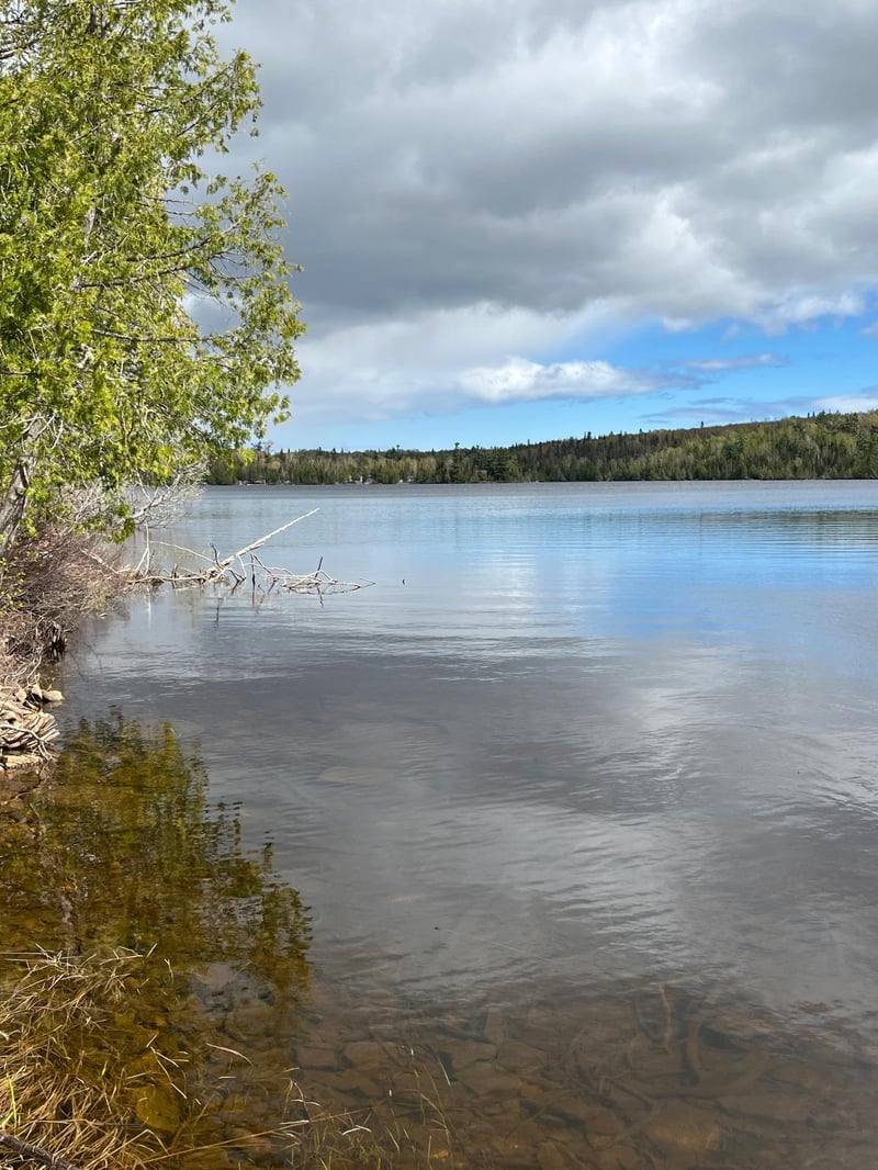100 Wilderness Trl, Hovland, MN 55606
