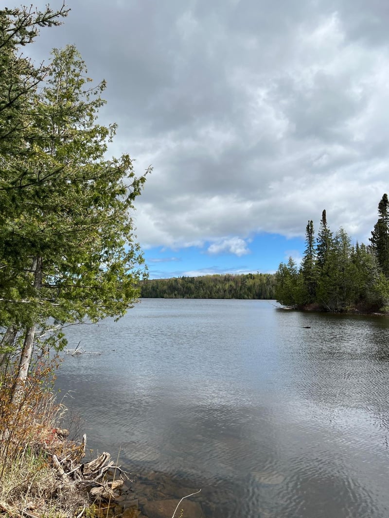 100 Wilderness Trl, Hovland, MN 55606