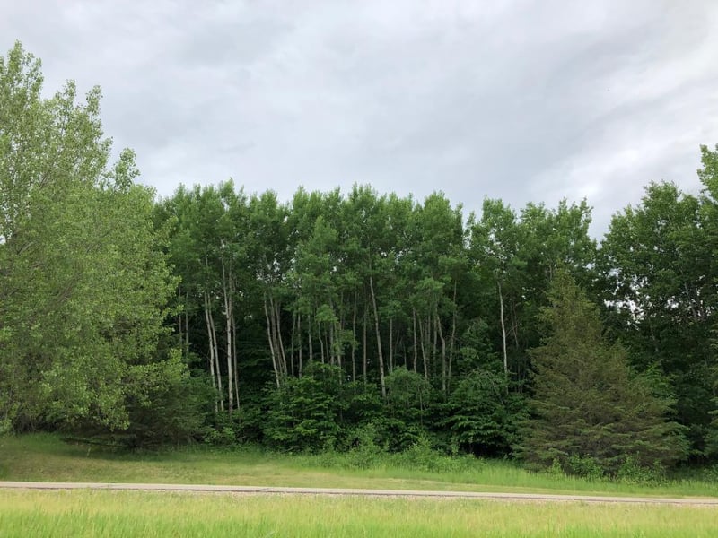27945 Timber Lane Rd, Paynesville, MN 56362