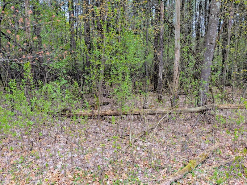 Vacant Lot 540th St, Menomonie, WI 54751