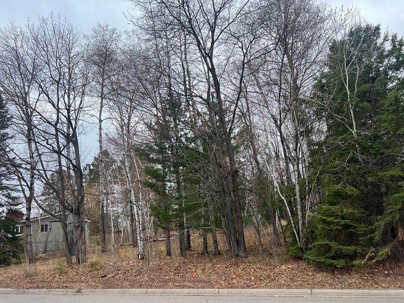 TBD 3rd Ave SW, Grand Rapids, MN 55744
