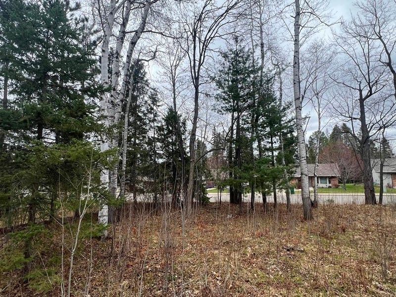 TBD 3rd Ave SW, Grand Rapids, MN 55744