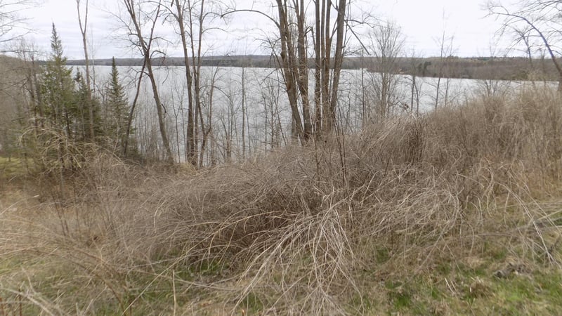 TBD Bluebill Bay Rd, Bovey, MN 55709